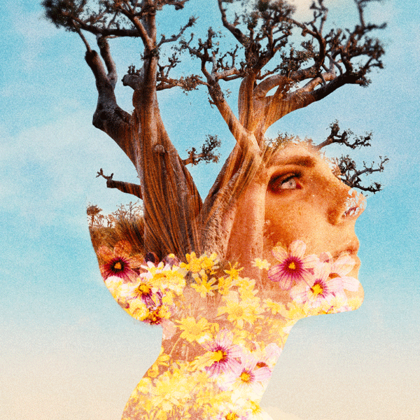 Artwork of woman's face turning into a tree
